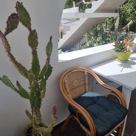 Santorini Sunrise Pleasure פריסה